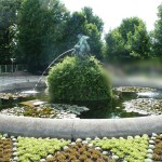 vienna picture of a garden